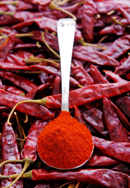 chilli powder B D Patil